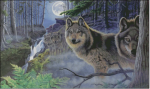 (image for) Mystical Moonlight